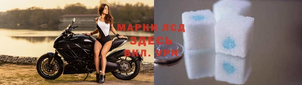 твердый Абаза