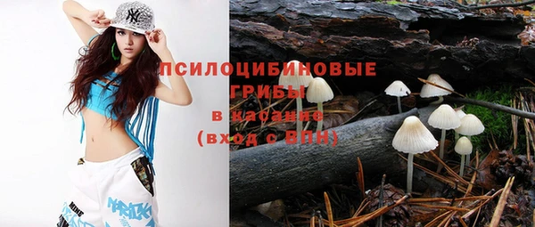 твердый Абаза