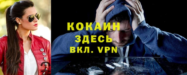 бошки Алексин