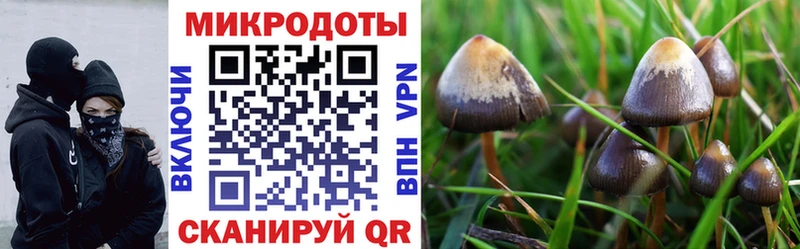Псилоцибиновые грибы прущие грибы  закладки  Магнитогорск 