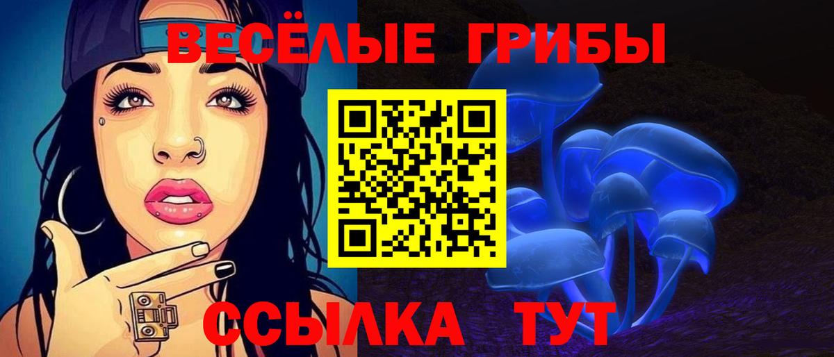 Псилоцибиновые грибы MAGIC MUSHROOMS  Вход с VPN  Магнитогорск  Псилоцибиновые грибы ЛСД 